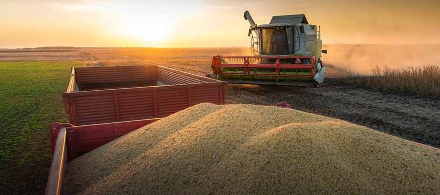 Seasonal Strategies for Harvester Use in Ghana