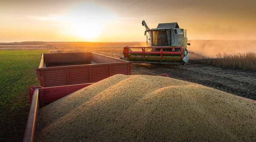 Seasonal Strategies for Harvester Use in Ghana